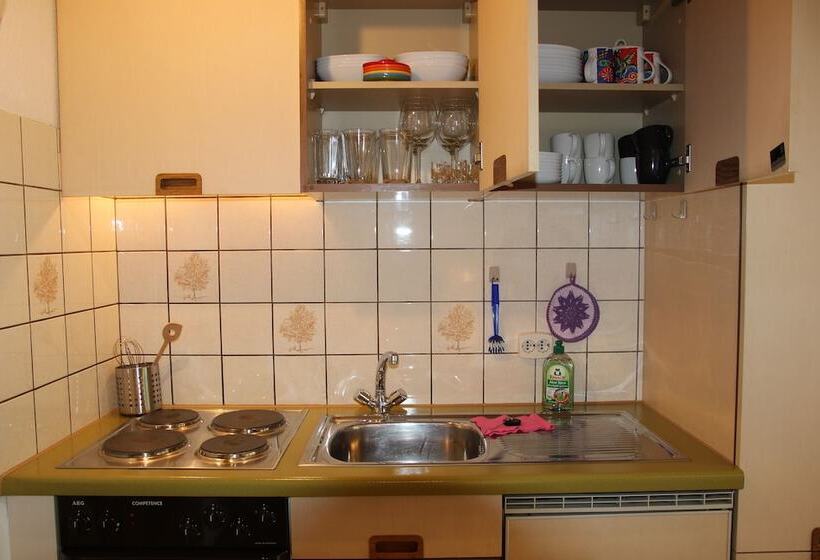 펜션 Gästehaus Steiert