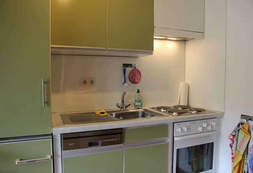 펜션 Gästehaus Steiert