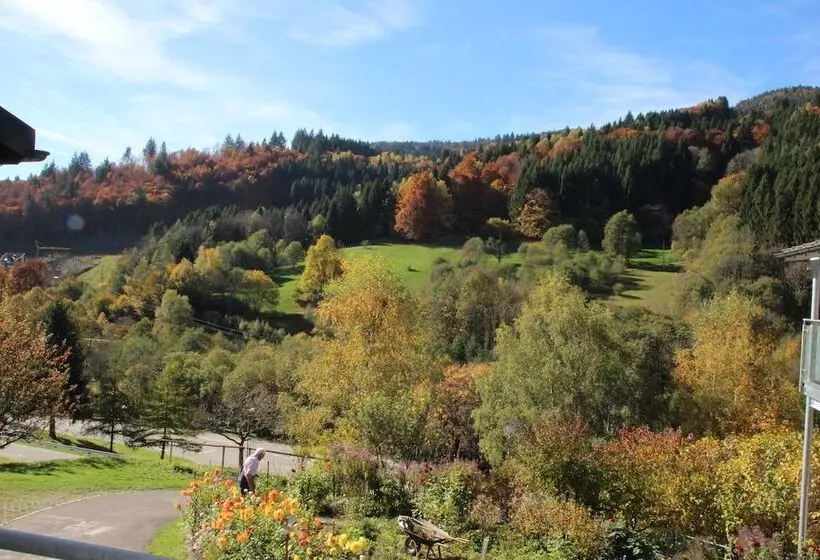 Majatalo Gästehaus Steiert