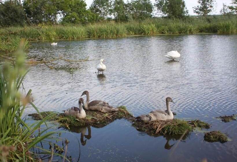 بنسيون Le Clos Du Marais