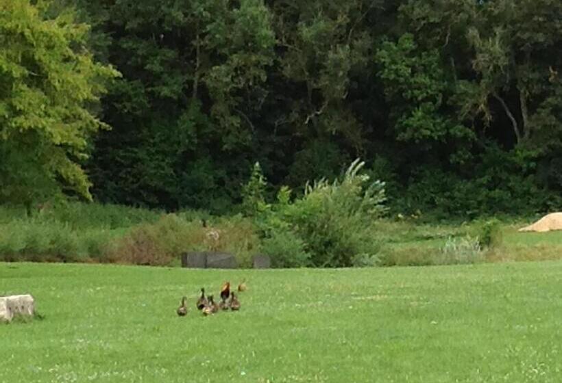 פנסיון Le Colombier De La Graverie
