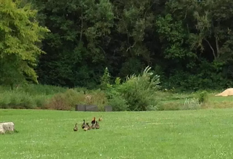Majatalo Le Colombier De La Graverie