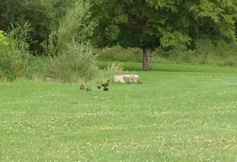 Majatalo Le Colombier De La Graverie