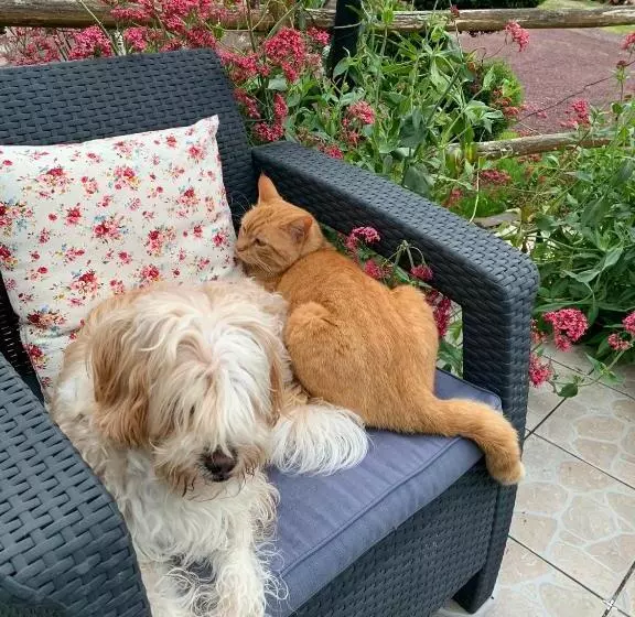 Majatalo Les Bouyeres