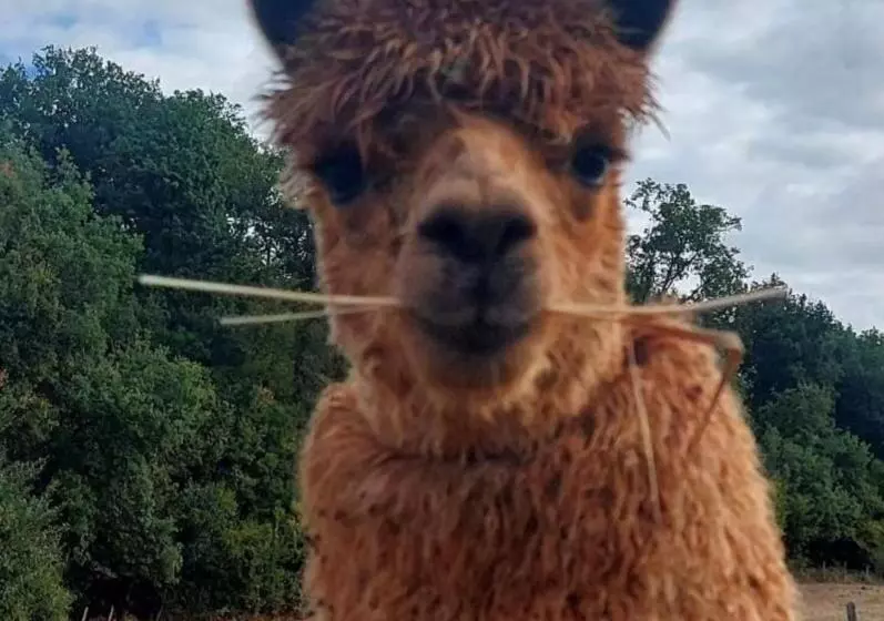 Aamiaismajoitus (B&B) Guest House Près Des Montgolfières