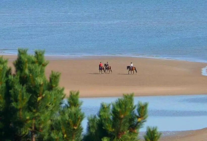 Aamiaismajoitus (B&B) La Ferme Manoir Saint Barthélemy