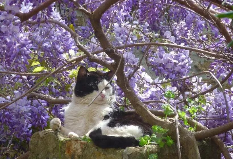 Aamiaismajoitus (B&B) La Ferme Manoir Saint Barthélemy