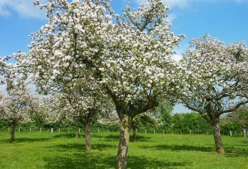 مبيت وإفطار La Ferme Manoir Saint Barthélemy