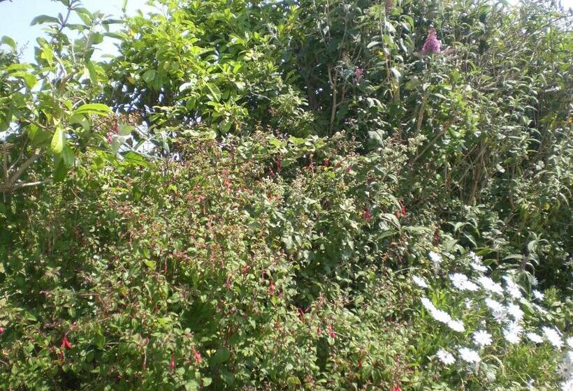 住宿加早餐 Le Dolmen