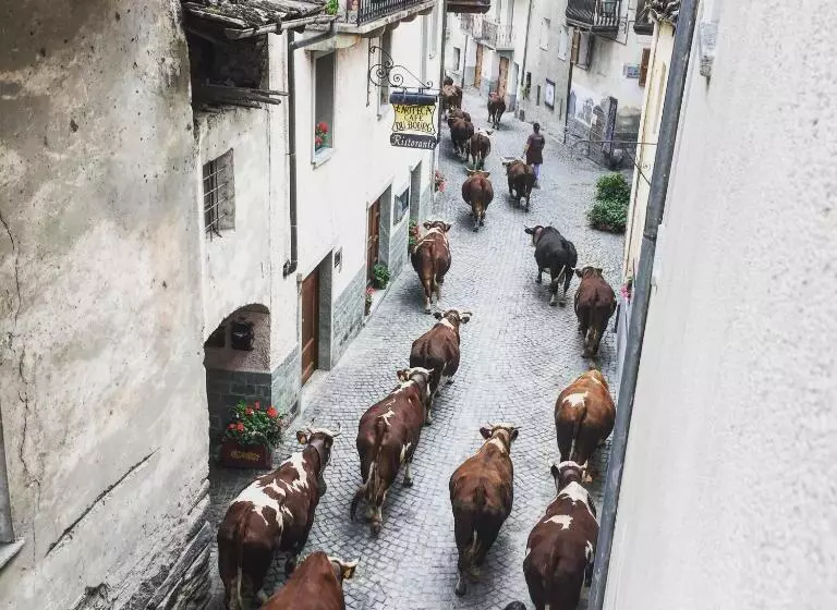 Aamiaismajoitus (B&B) Maison De La Montagne   Chambres & Relax