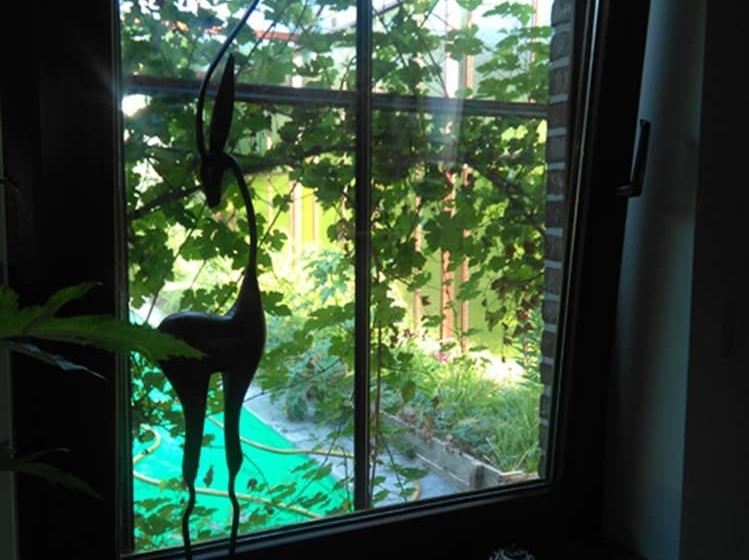 مبيت وإفطار Panhays