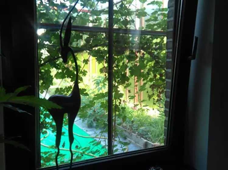 Aamiaismajoitus (B&B) Panhays