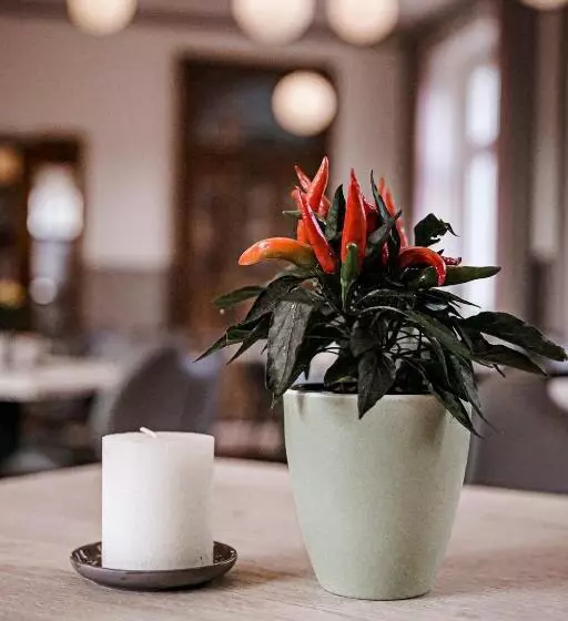 Gasthof Hotel Biedendieck