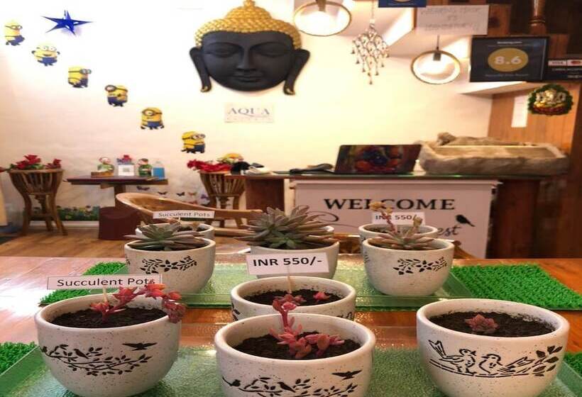 ホテル Aqua De Vida Resort