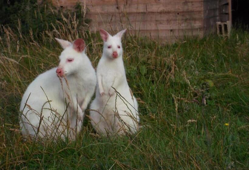 هتل Chambre D Hôtes Etretat