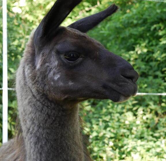 هتل Chambre D Hôtes Etretat