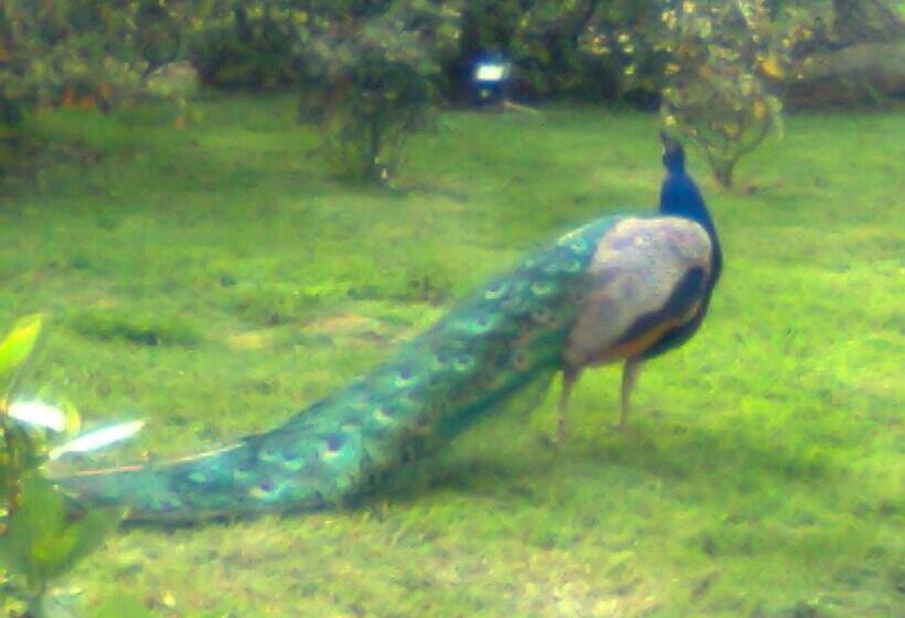 هتل Chambre D Hôtes Etretat