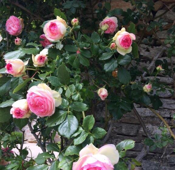 ペンション Le Couvent