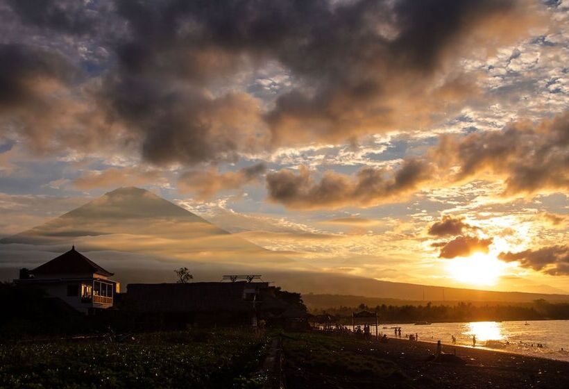 住宿加早餐 Bali Dive Resort Amed