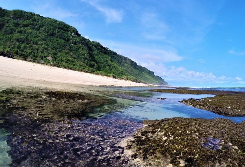 住宿加早餐 Bali Dive Resort Amed