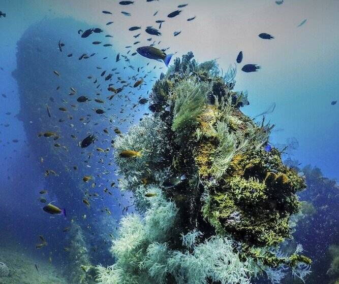 住宿加早餐 Bali Dive Resort Amed