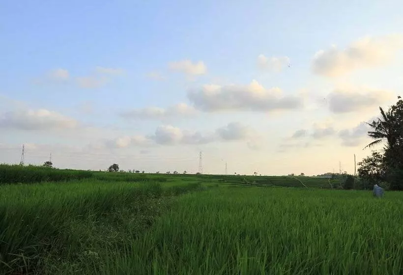 ベッドアンドブレックファースト Desa Cepaka Homestay
