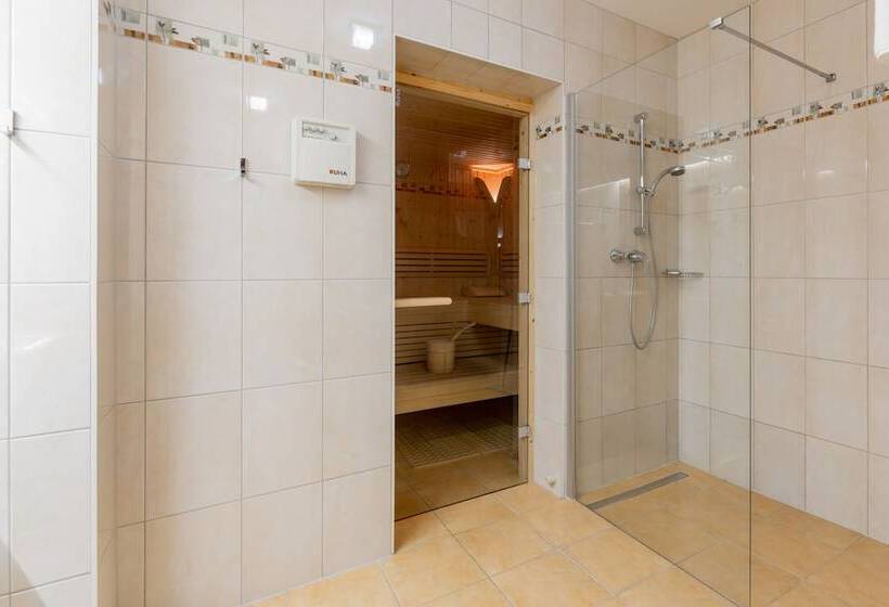 Alpenparks Maria Alm   Appartments