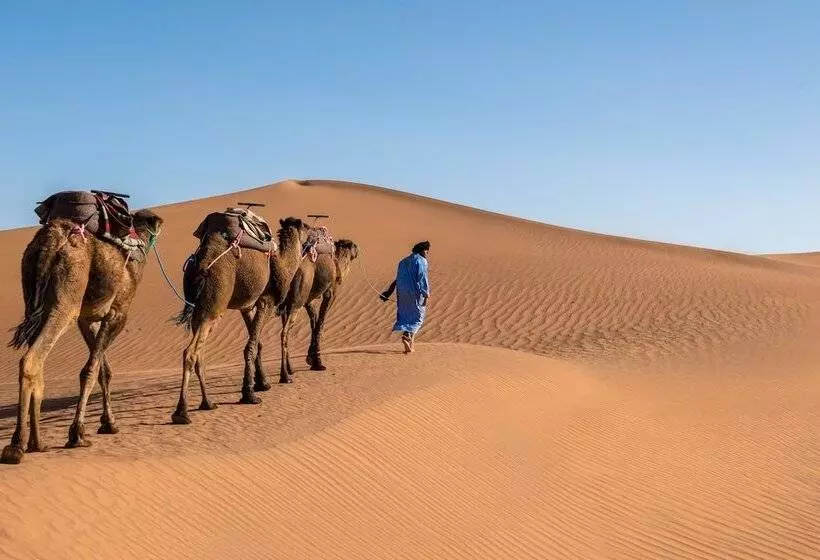 ホテル Desert Bivouac