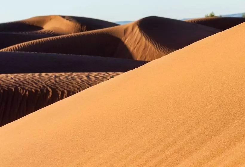 ホテル Desert Bivouac