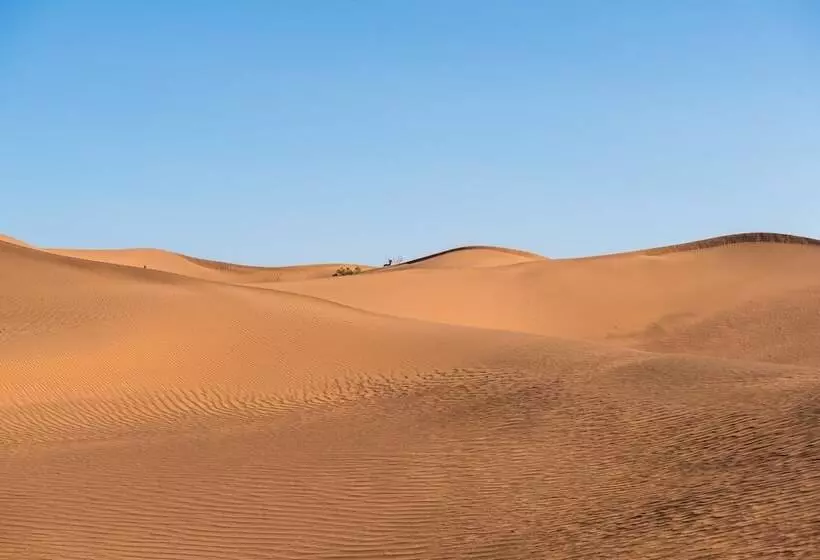 ホテル Desert Bivouac
