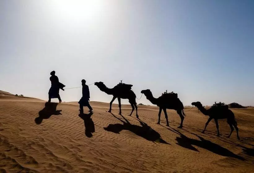 ホテル Desert Bivouac