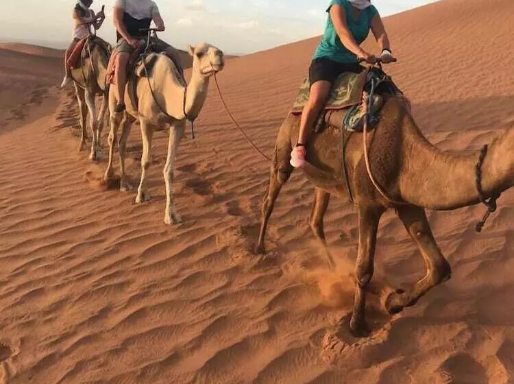 ホテル Desert Bivouac