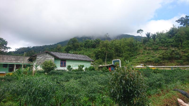 فندق Penginapan Imanuel Lau Gara By Zuzu