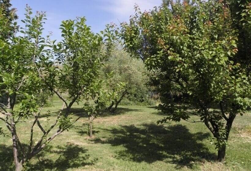 Отель Provence Roulottes