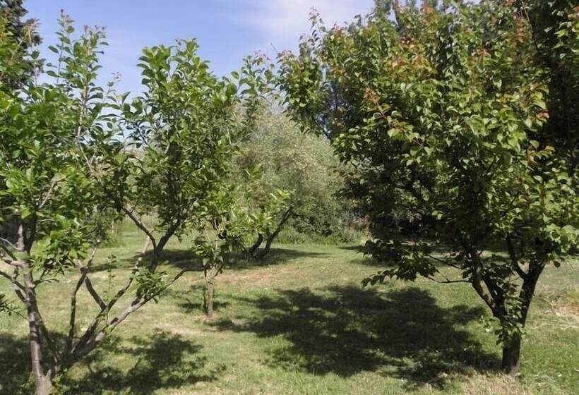 Отель Provence Roulottes