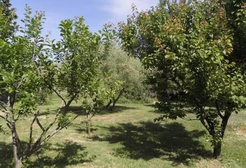 Hotelli Provence Roulottes