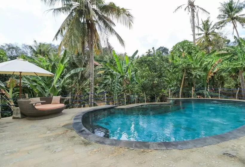 هتل Villa Mangga