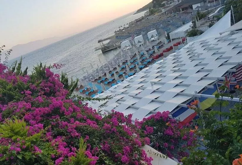 Dream Apartments Saranda