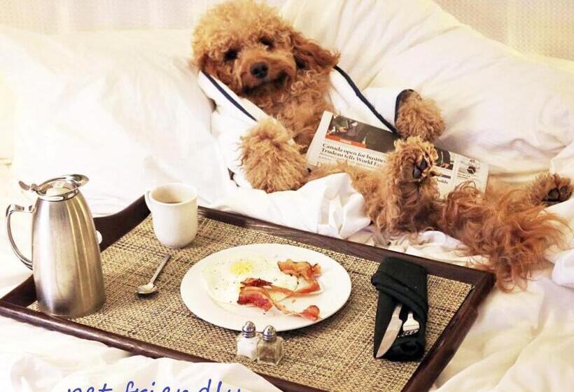 ペンション Beach Club Junior Suite