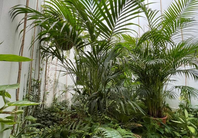 هتل Emblemático Hi Suites