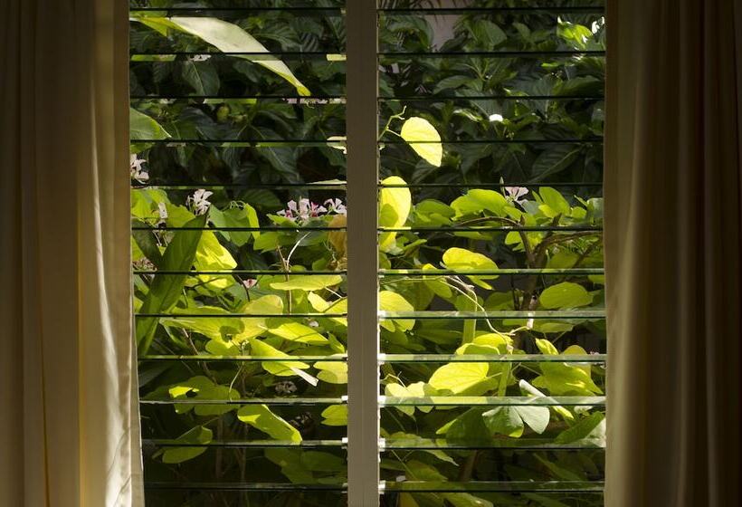 فندق Suites Ejecutivas Los Arcos