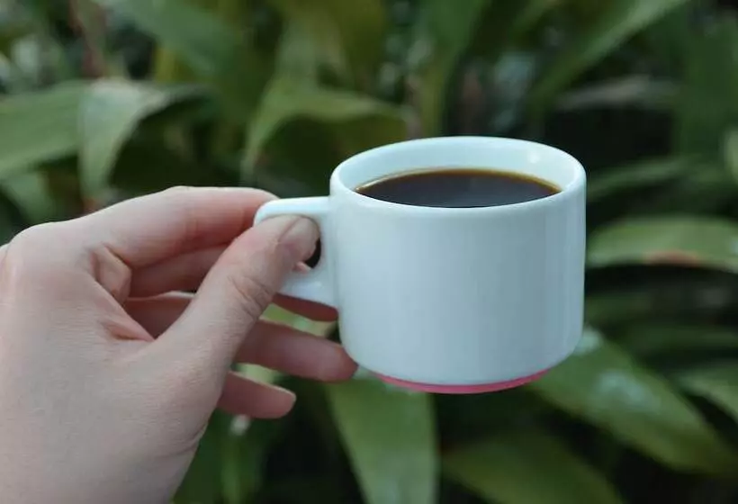 ホテル Suites Ejecutivas Los Arcos