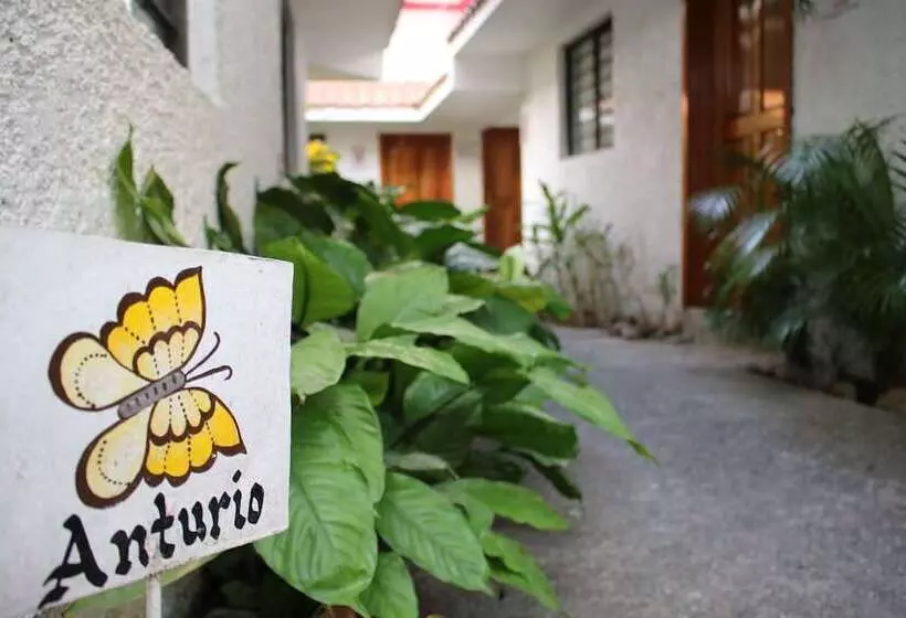 ホテル Suites Ejecutivas Los Arcos