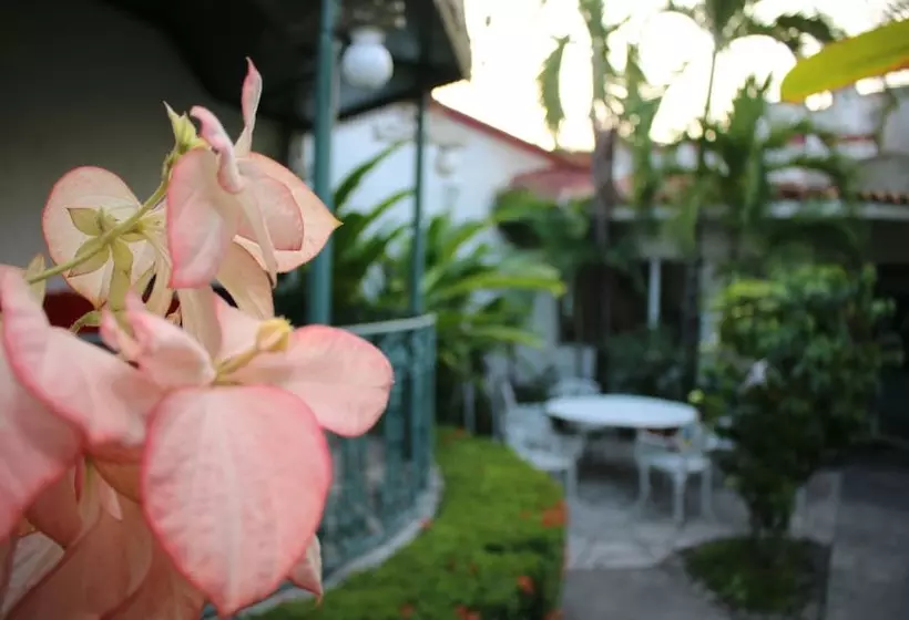 ホテル Suites Ejecutivas Los Arcos