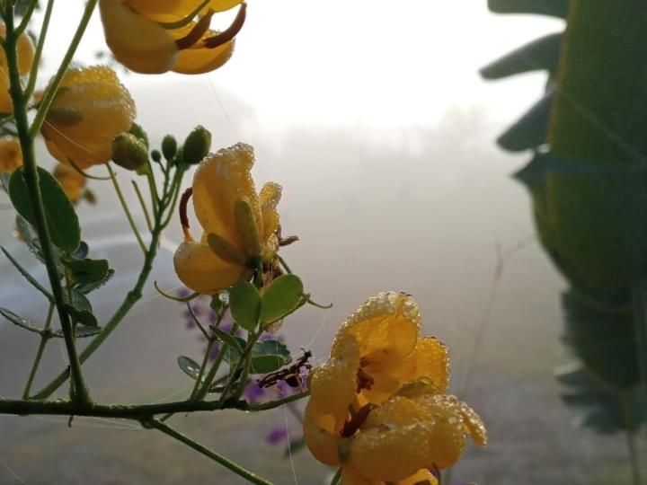 膳宿费 Pousada Do Sossego