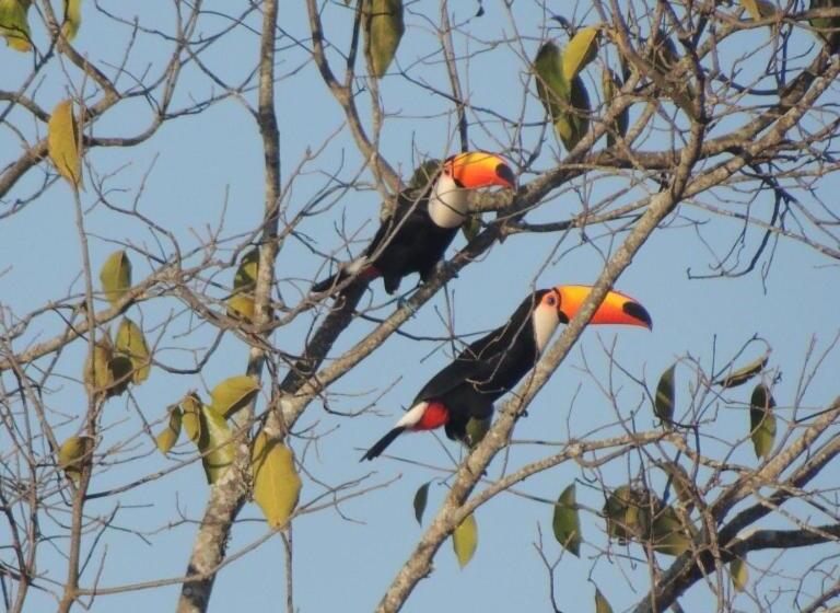 膳宿费 Pousada Do Sossego