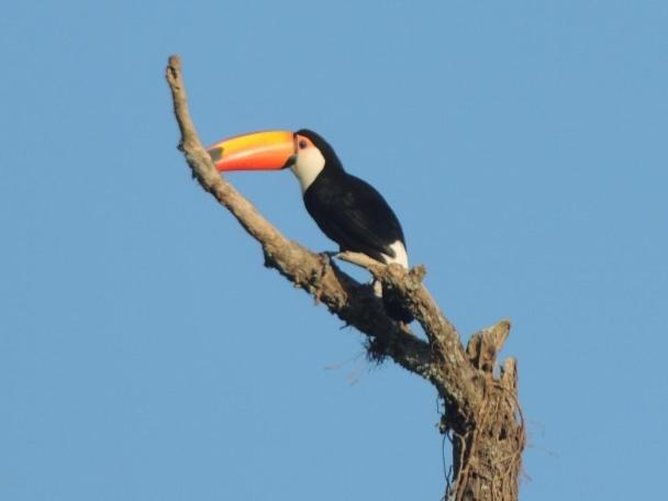 膳宿费 Pousada Do Sossego