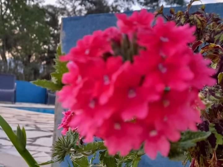 膳宿费 Pousada Do Sossego