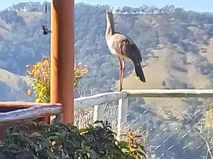 膳宿费 Pousada Do Sossego