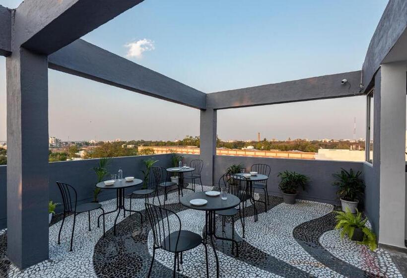 호스텔 The Cult Stay